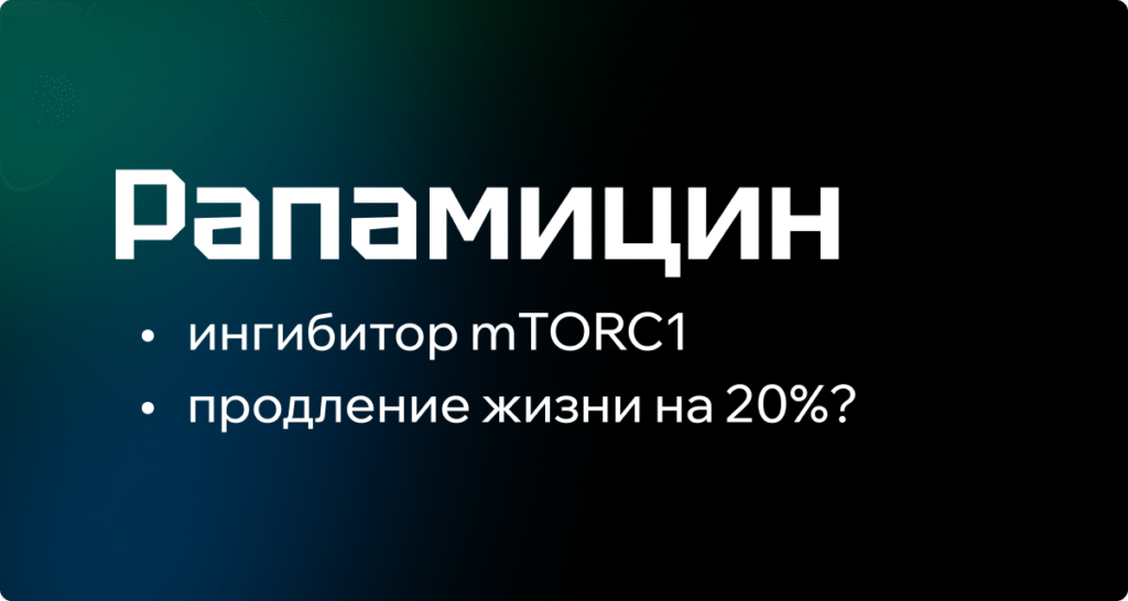 Рапамицин в контексте продления продолжительности жизни | Expotion